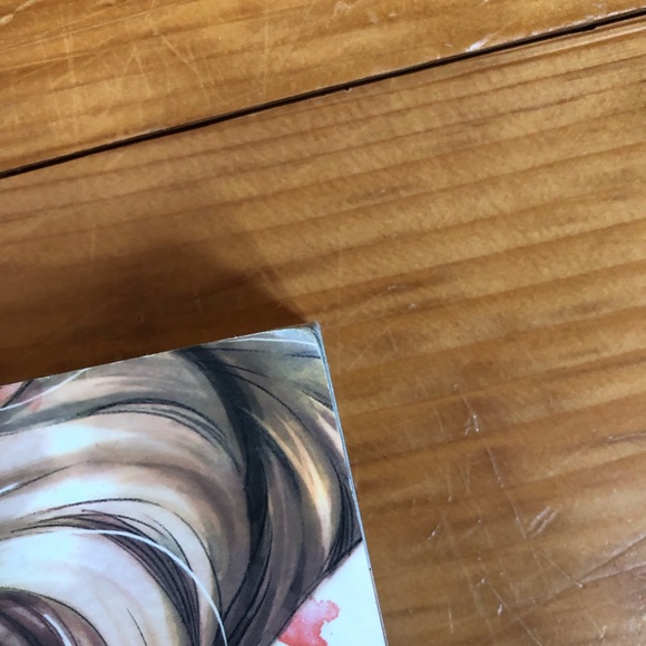 Maximum Ride Manga Volume 1 Narae Lee Graphic Novel Action Sci-Fy Teen YA - Picture 4 of 9